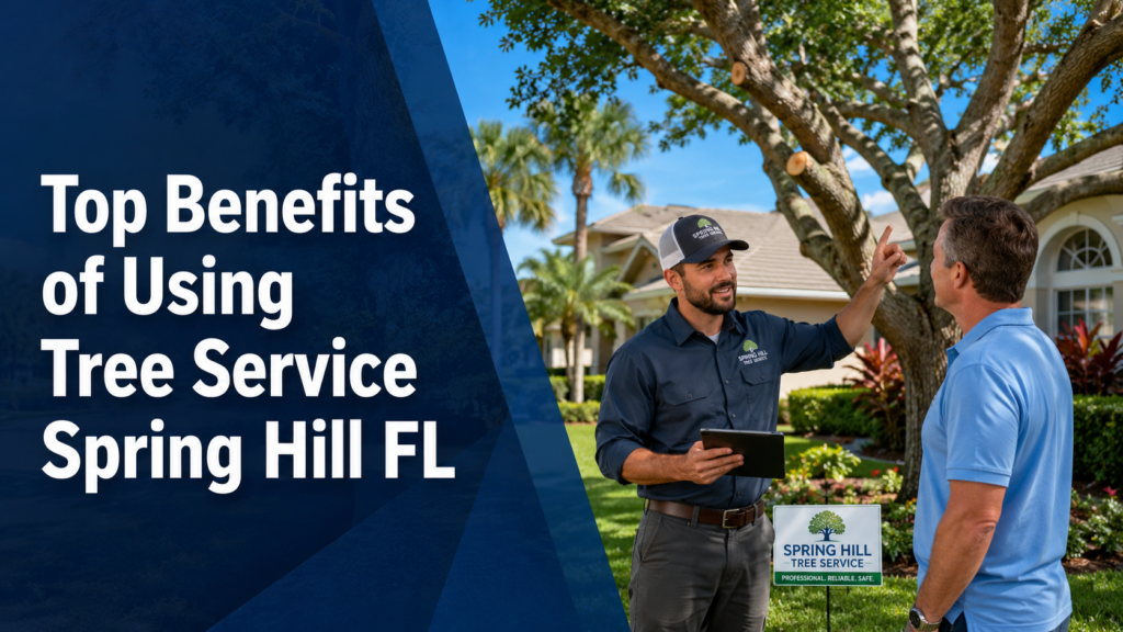 Top tree services in Spring Hill